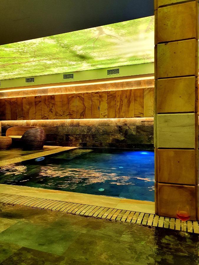Lostrita - Pastravarie, Hotel & Spa Бая-Маре Экстерьер фото